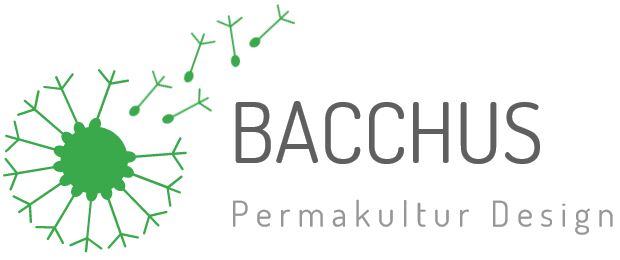 Bacchus Web GmbH